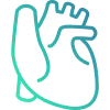 Cardiology